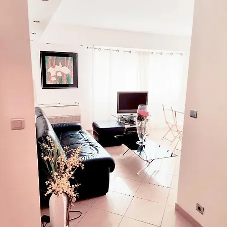 One Bedroom Flat With Terrace, 250m From The And La Croisette, Behind The Martinez Apartment